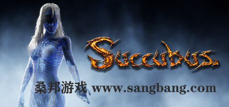 魅魔 | SUCCUBUS-师者试卷网